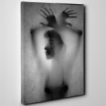 şaşkoloz 150x150 Kuş